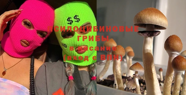 MDMA Premium VHQ Волоколамск